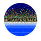 Metaversidade